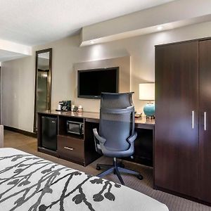 Queen Room Disability Access